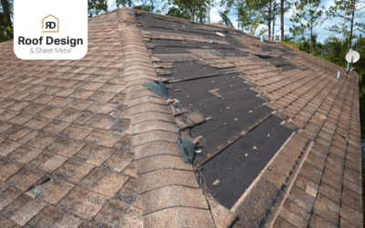 How Can a Quality Roof Installation Shield Your Home from Extreme Weather Conditions?