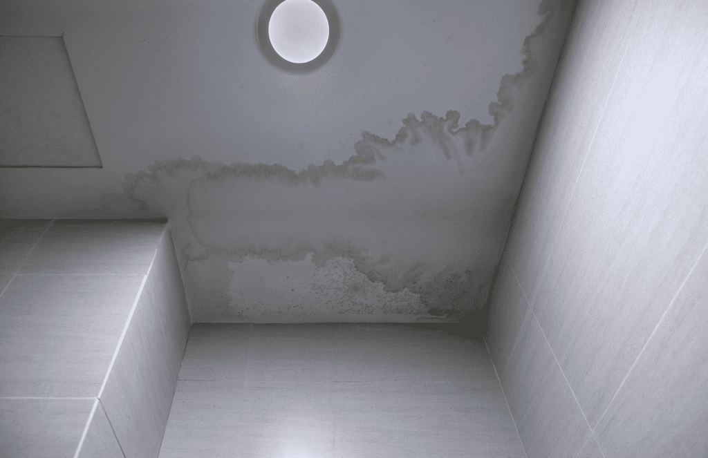 water-stain-ceiling-