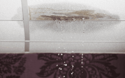 Can Roof Leak cause Mold? Causes, Signs, & Removal